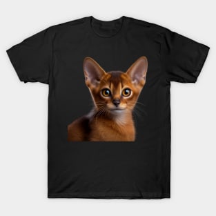 Abyssinian Cat - A Cute Gift Idea For All Cat Lovers And Cat Moms T-Shirt